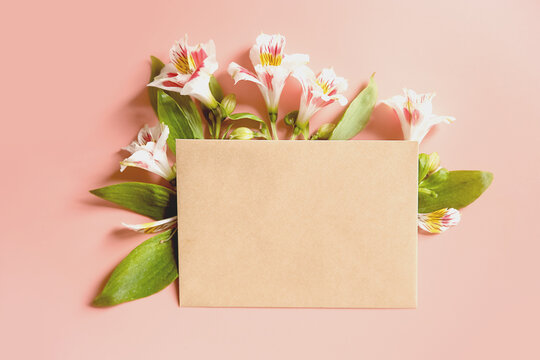 fresh pink flowers in an envelope on pink background with space for text