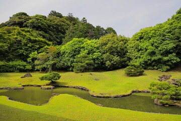 多くの人を魅了する素晴らしい日本庭園