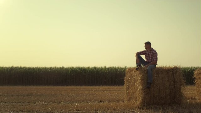 Farmer resting hay stack in autumn evening. Focused worker inspecting harvest