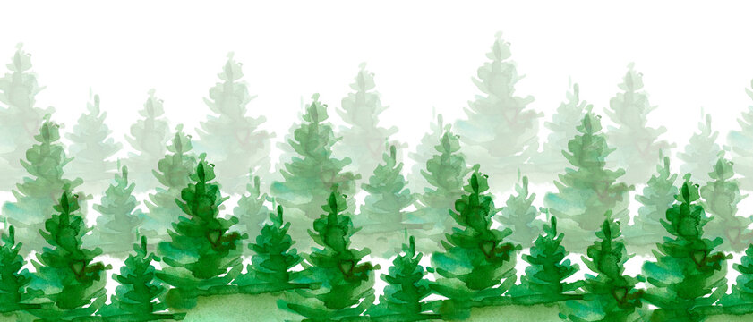 Seamless pattern with foggy spruce forest. Fir trees isolated on white background. © Маргарита Шевчишена