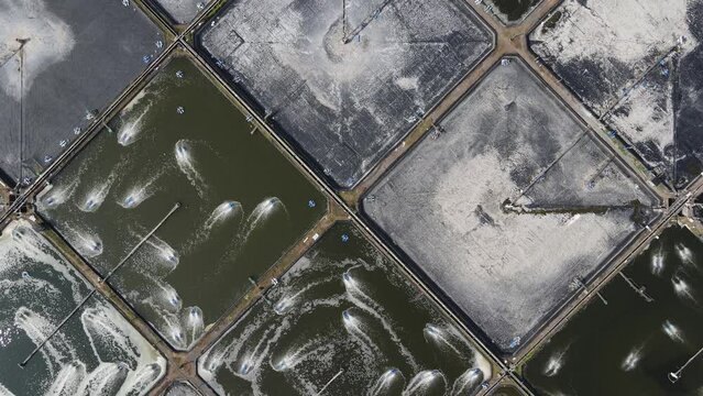 Aerial view, captivity or shrimp pond in southern yogyakarta on the coast of samas. Fresh seafood fish food industry.