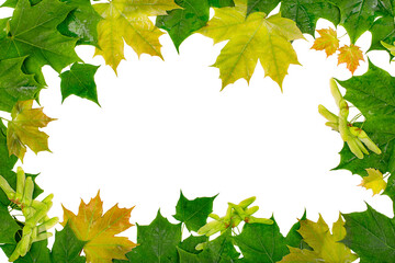 A frame made of multicolored maple leaves. copy space
