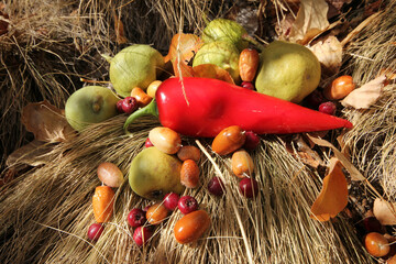 various fruits collected from nature