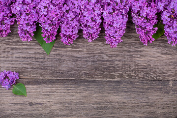 Purple lilac flowers on a blue background, copy space