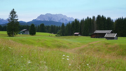 Fototapeta na wymiar Auf dem Panoramaweg von Krün nach Mittenwald durch die Buckelwiesen und mit Blick zum Wettersteingebirge