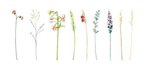 Hand painted watercolor floral bouquet. Iceland Poppies, anthurium, eucalyptus illustration isolated on white l background, print, invitation or greeting cards, garden cover for your text.