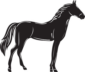 Obraz na płótnie Canvas horse silhouette on white background isolated