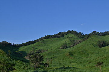 Fototapeta premium 青空の砥峰高原