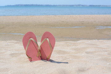 Stylish pink flip flops in sand near sea on sunny day