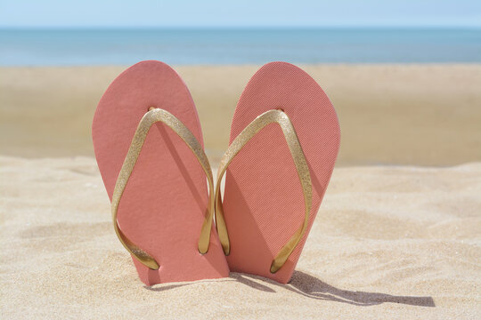 Stylish pink flip flops in sand near sea on sunny day
