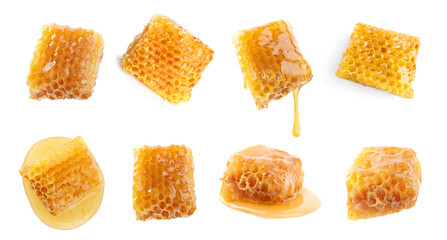 Set with fresh delicious honeycombs on white background. Banner design