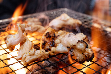 炭火で焼くホルモン焼肉