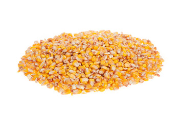 Yellow corn seeds, grains. Isolated