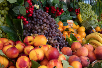 View of a beautiful colorful assortment of ripe tropical fruits
