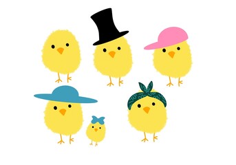 Set Easter with yellow chicken on white background