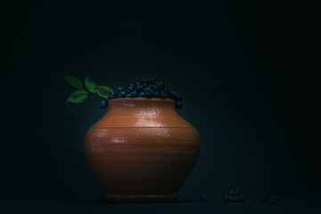 blueberries in a jug, blueberries in a clay pot, blueberries on a black background