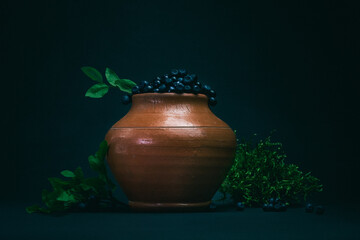 blueberries in a jug, blueberries in a clay pot, blueberries on a black background