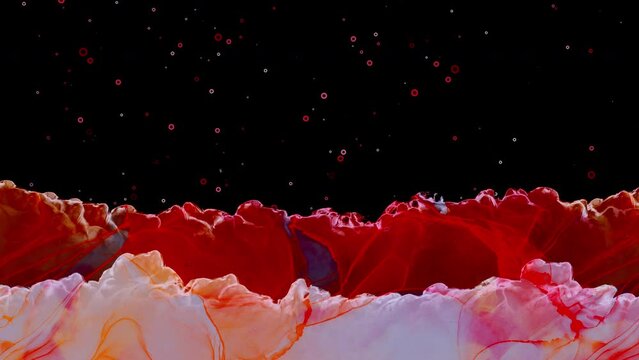 Abstract coloured liquid, fluid art motion video with alcohol ink texture, levitating bubbles, colorful dots, black background, modern painting with flow, slow moving parts, relax, screensaver, calm	
