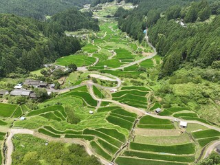 四谷千枚田の初夏の風景を空撮