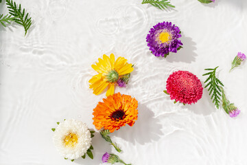 Colorful aster and marigold flowers swim in the water. Beauty spa concept background. Top view