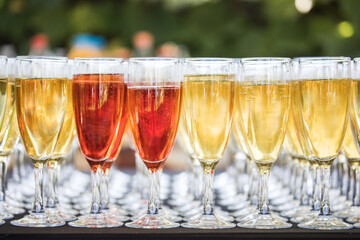 Coupes de champagne