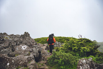 天狗岳　八ヶ岳連峰　北八ヶ岳