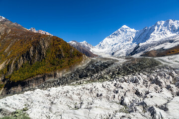 Fototapeta na wymiar Minapin glacier and Rakaposhi mountain view in autumn with yellow trees. Karakoram, Pakistan