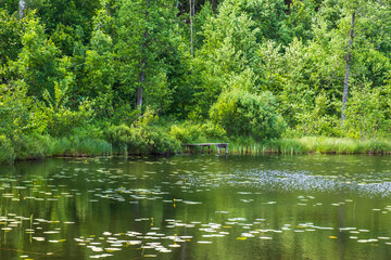 Gammal brygga vid en skogssjö på sommaren