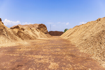 Wood chips pile in a storage place