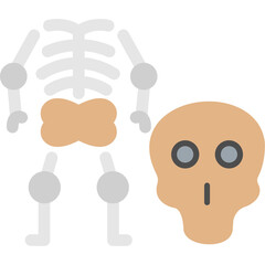 Osteology Icon