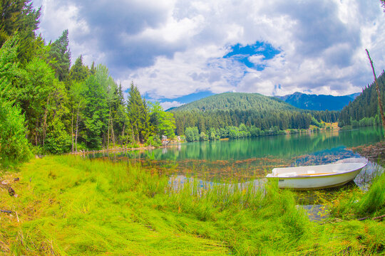  Savsat Karagol Black lake in Black Sea region with morning evaporation. Savsat Karagol lake is a large trout lake in the forest in Artvin