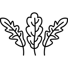 Arugula Icon