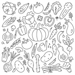 Vegetable food collection, avocado, tomato, potato icons, vector doodle illustration of vegetable garden products, isolated outline clipart on white background, organic vegetarian eating, farm food