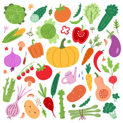 Vegetable food collection, avocado, tomato, pepper icons, vector doodle illustration of vegetable garden products, isolated colored clipart on white background, organic vegetarian eating, farm food