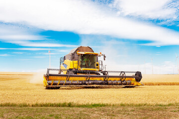Combine harvester in action on wheat field. Process of gathering a ripe crop. Agricultural...