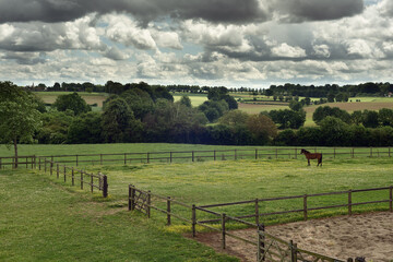 Fototapeta na wymiar Meadow with a horse and wooden fences in a rolling landscape under a cloudy sky.