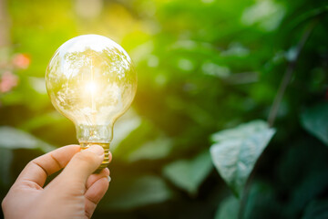 light bulb in the hand
