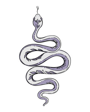 Vector outline snake. Magic symbol. Serpent art in trendy style. Wicca moon goddess symbol. Vector illustration. Tattoo, astrology, alchemy, boho and magic symbol. Coloring book.