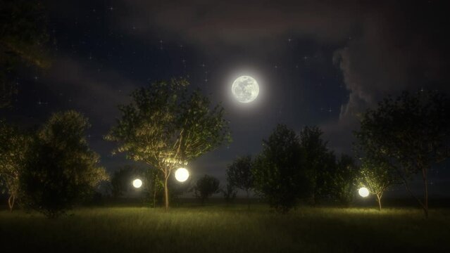 Night garden with lanterns and moon in the starry sky