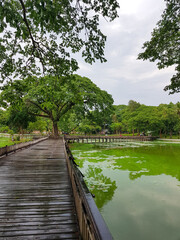 Fototapeta na wymiar beautiful view of the green park with river