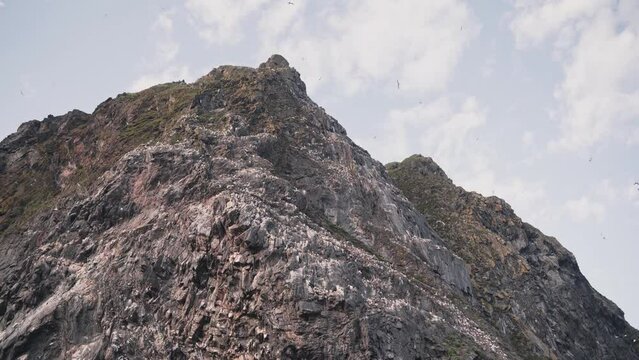 Flock of wild sea sole birds flying near rocky cliff of Runde island, handheld view
