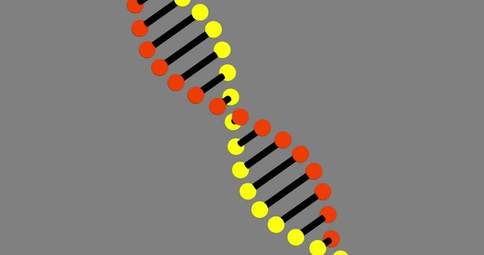Animation of dna rotating over grey background