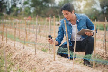 Smart farming, using modern technologies in agriculture. Man agronomist farmer with digital tablet computer in farm. Farmer Tea Plantation checking quality by tablet agriculture modern technology .