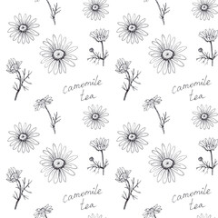 Black and white seamless pattern with camomile on white background