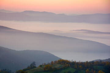 mountainous foggy landscape at sunrise. autumnal countryside misty scenery. beautiful view in to the distance valley full of morning fog