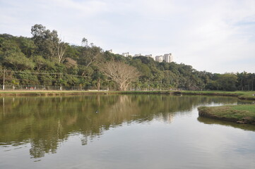 Fototapeta na wymiar Sao Paulo Botanic Garden 