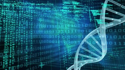 Animation of binary coding, data processing and dna strand spinning over grid - Powered by Adobe