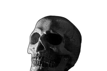 A scary human skull, isolated on a white background, reproduced in halftone style.
