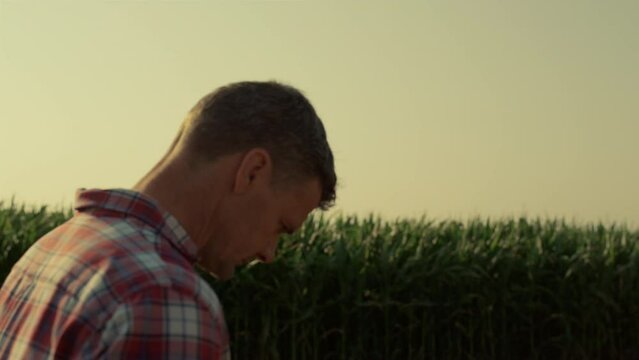 Thoughtful farmer walking field in morning sunlight closeup. Upset man consider