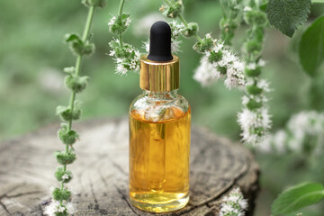 A bottle of mint oil on a tree stump. Essential oil, collagen serum for beauty. Cosmetics with natural ingredients.